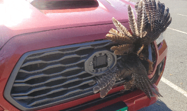 f62d4f76711c0a3373e7b8680d392d90dcb3385c.gif