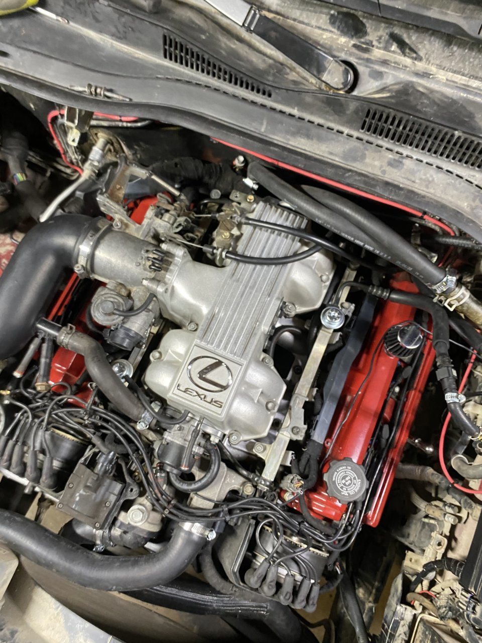 F63AFAD5-6CCC-4619-BF63-7D302D4D7201.jpg