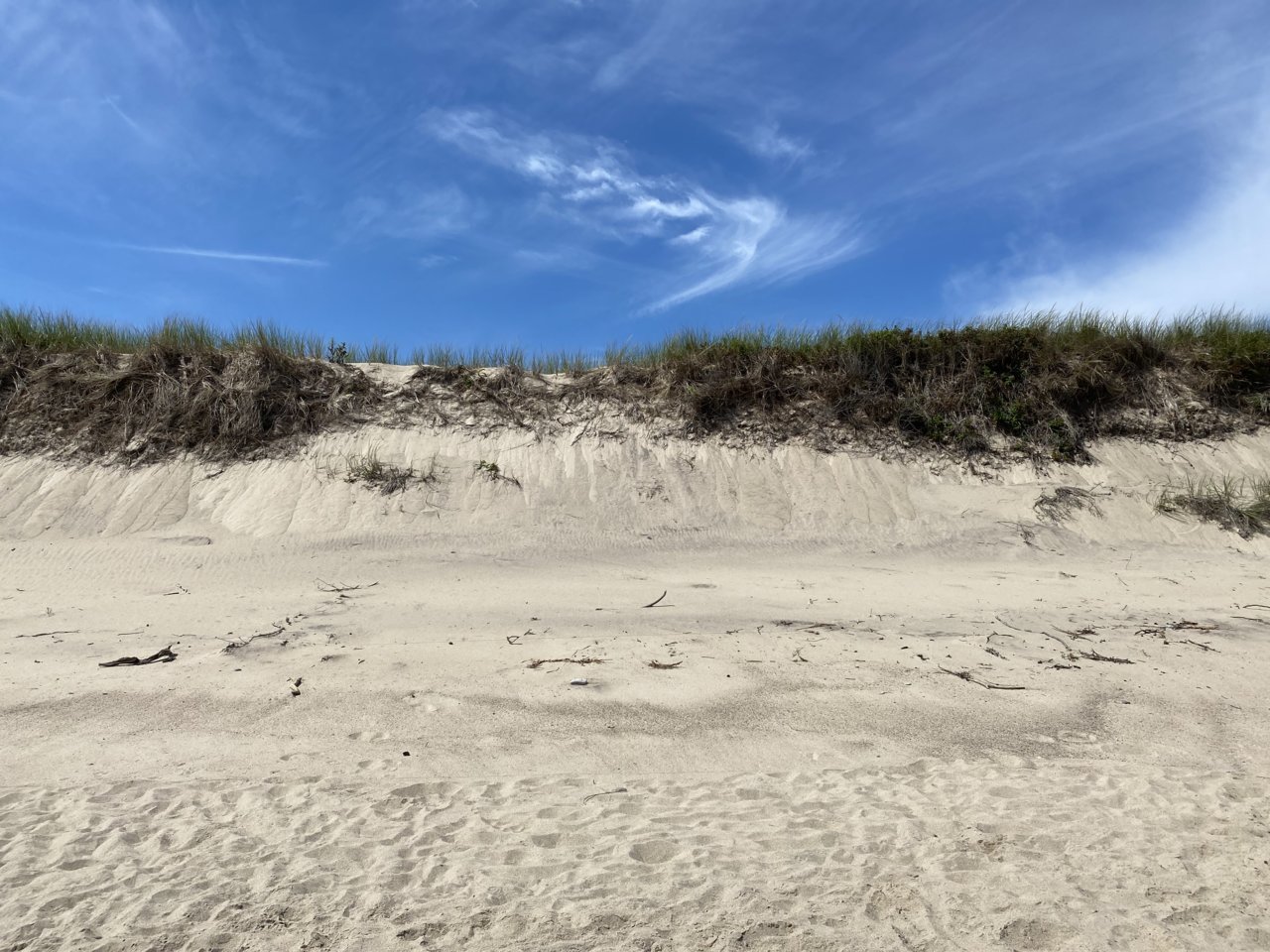 F651F497-01B1-435D-83F6-E9AE58052753.jpg