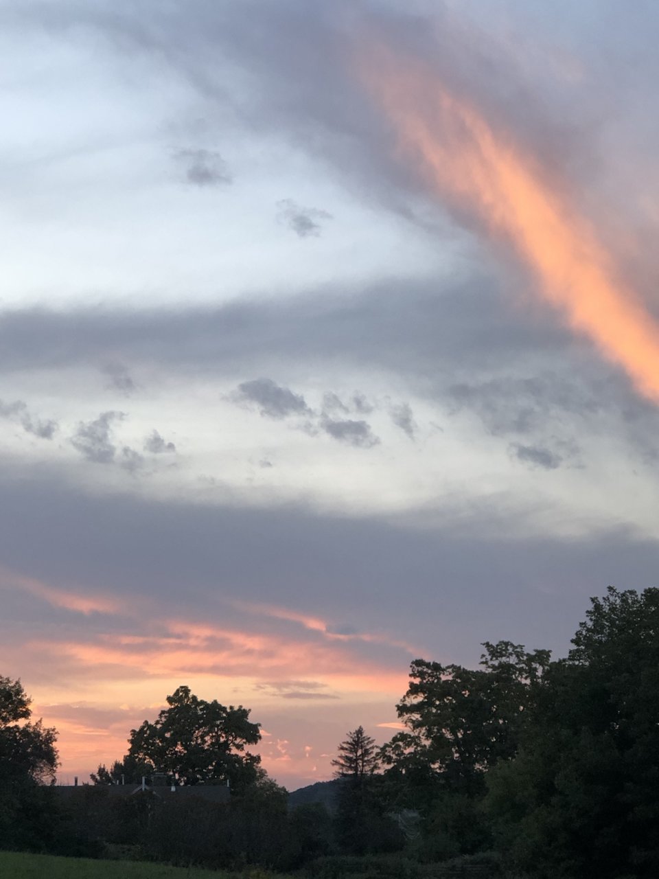 F6D31D3C-4D23-418A-A73E-E80757B8567E.jpg