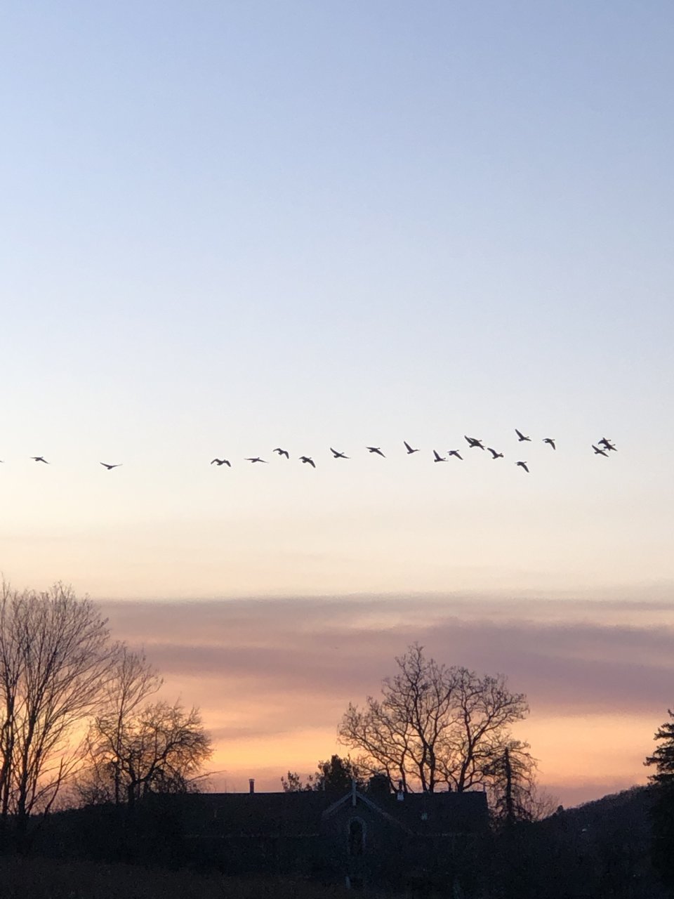 F6E54D15-2613-4217-A686-C64D789AF358.jpg