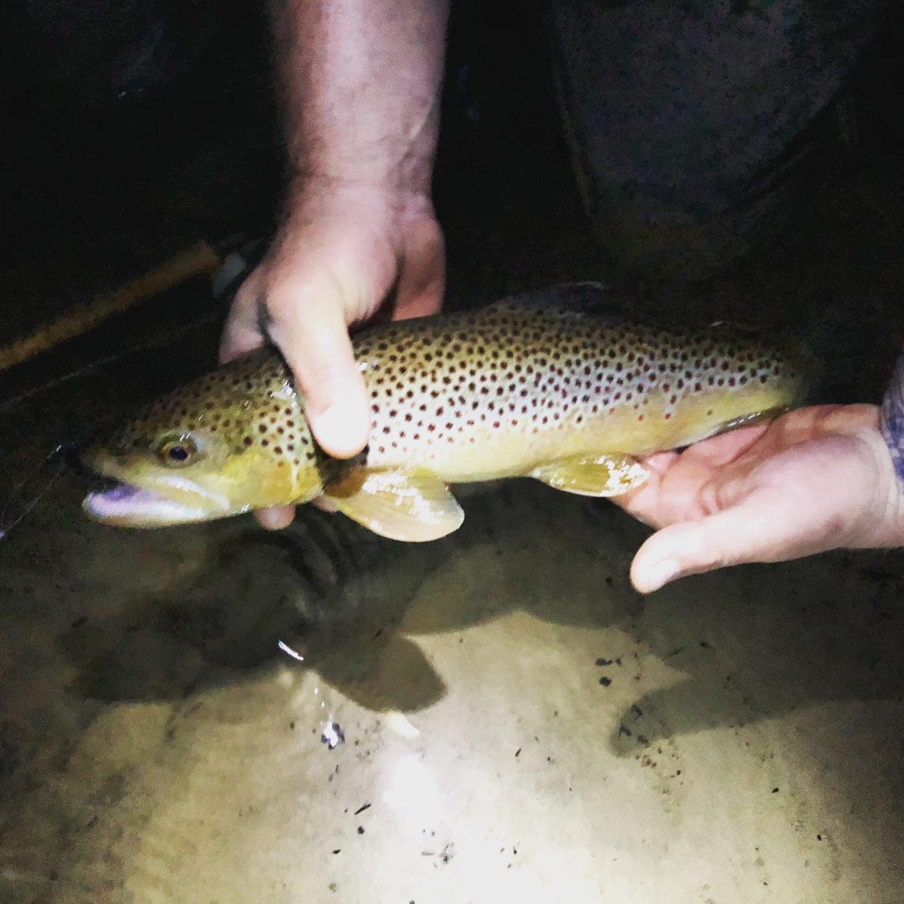 F71FF19F-450E-4DDE-AA25-9C3E156334A2.jpg
