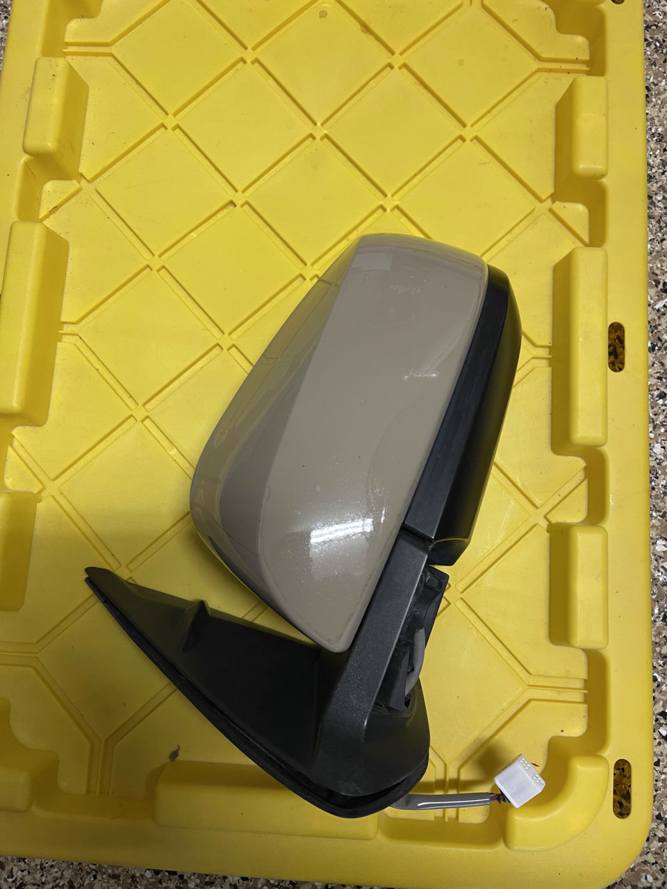 F737702B-F277-4FC9-8569-CED6AD35EDDE.jpg