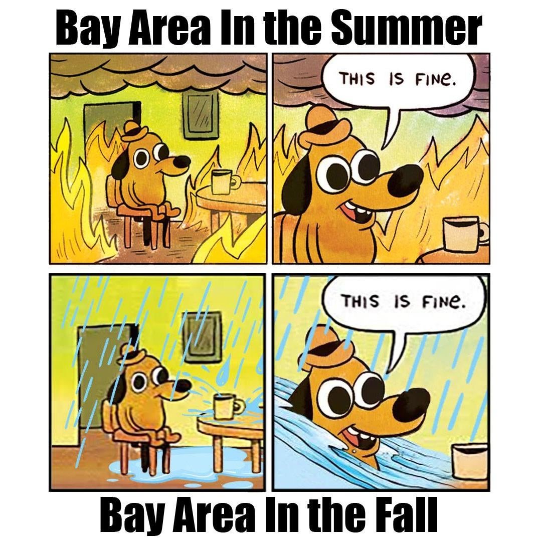 F7819FB5-CFA8-4FEA-BD62-976029BEF05C.jpg