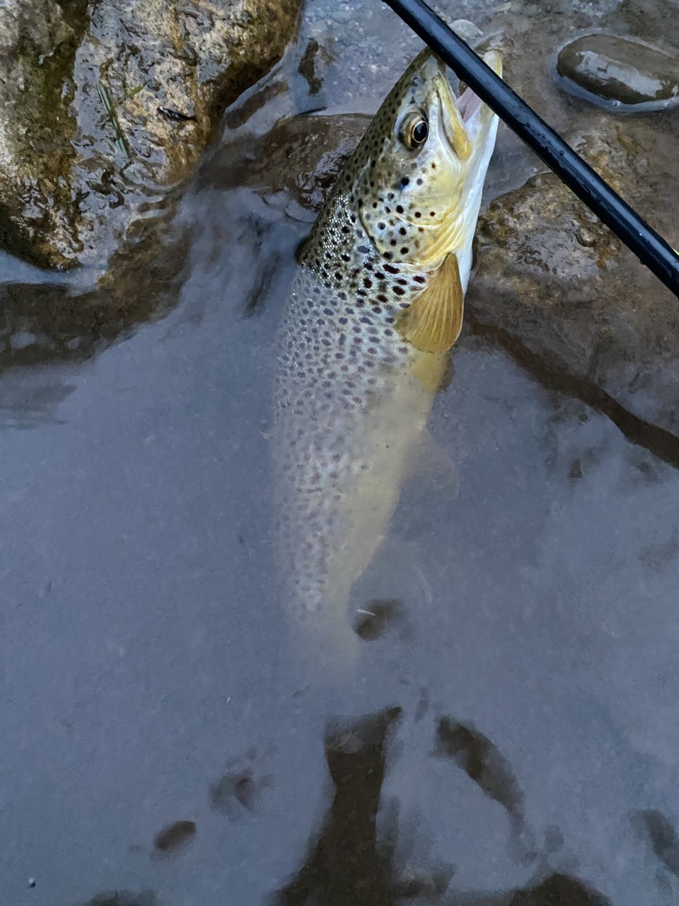F7A56124-7771-4F7B-8213-749CC412E6F9.jpg