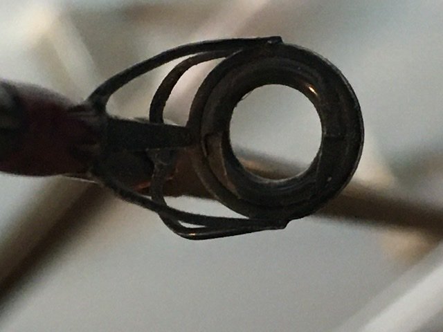 F88C9EAA-C431-4EE7-BF18-CCD8E1E5AFDB.jpg