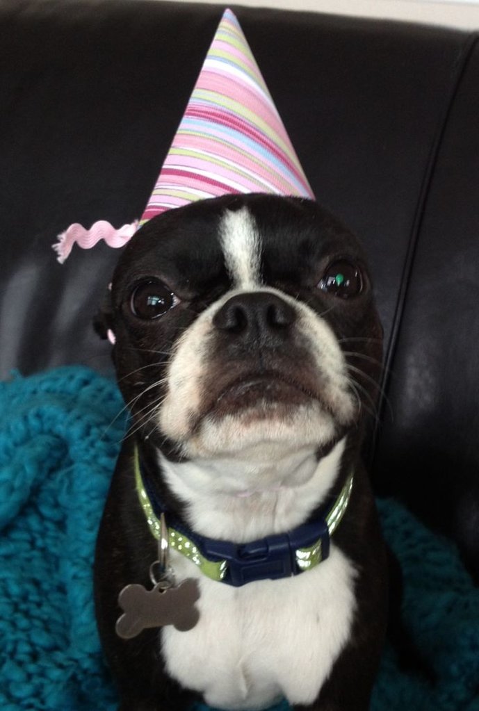 f8aaaec281c6d5daa02a7455d333b7df--happy-birthdays-eloise.jpg