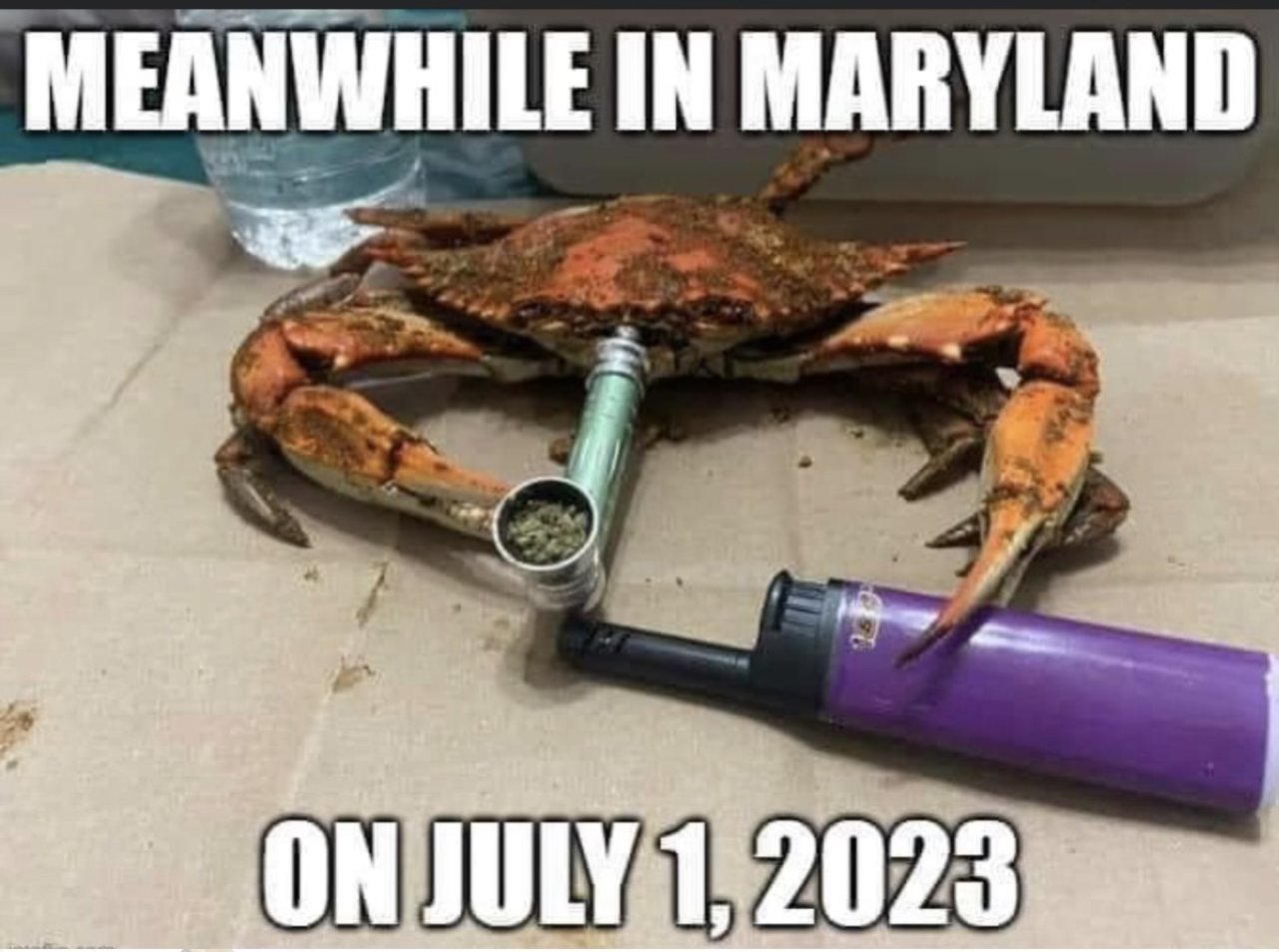 F8C04C19-4348-499A-898C-163816A862EE.jpg