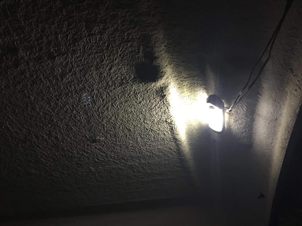 F8C64F6C-F7AD-4F93-B46B-1C1FB3D44023.jpg