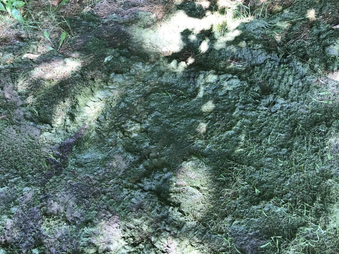 F9C92E01-2968-4FDD-B144-0937624E77D3.jpg