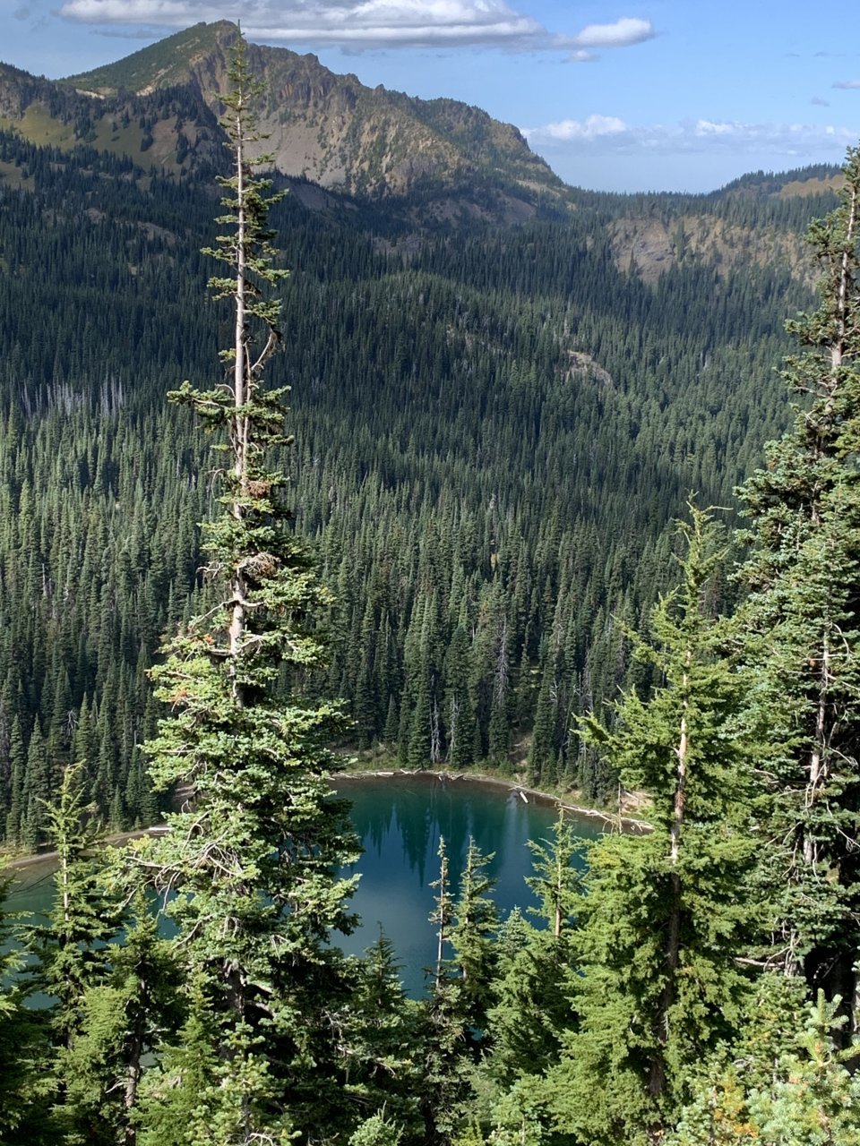 FA566336-C461-4390-8F10-864E2717C7EB.jpg