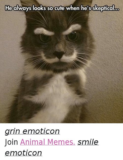 Facebook-grin-emoticon-Join-Animal-Memes-smile-9df519.jpg