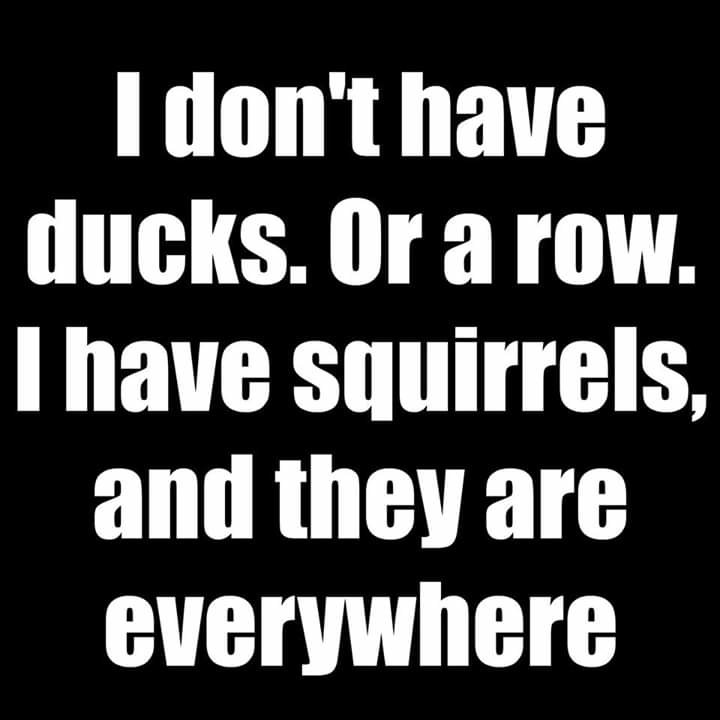 facebook_1555602074062_57208683092755.jpg