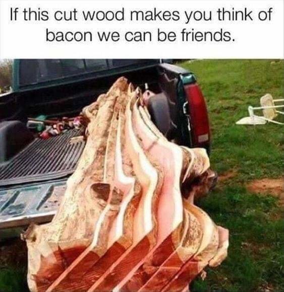 facebook_1571880760017_1473222043717966.jpg