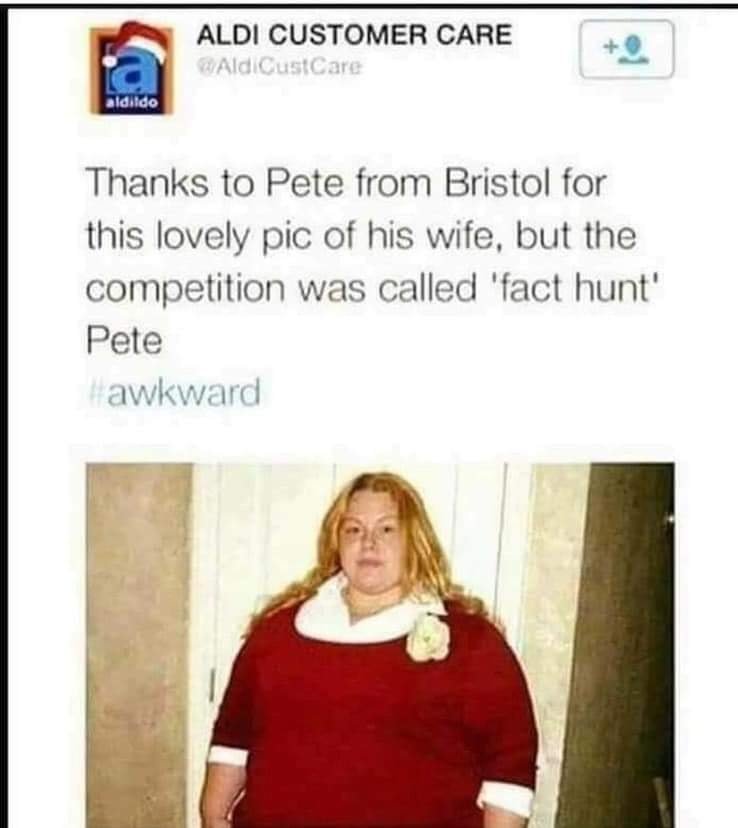 fact hunt.jpg