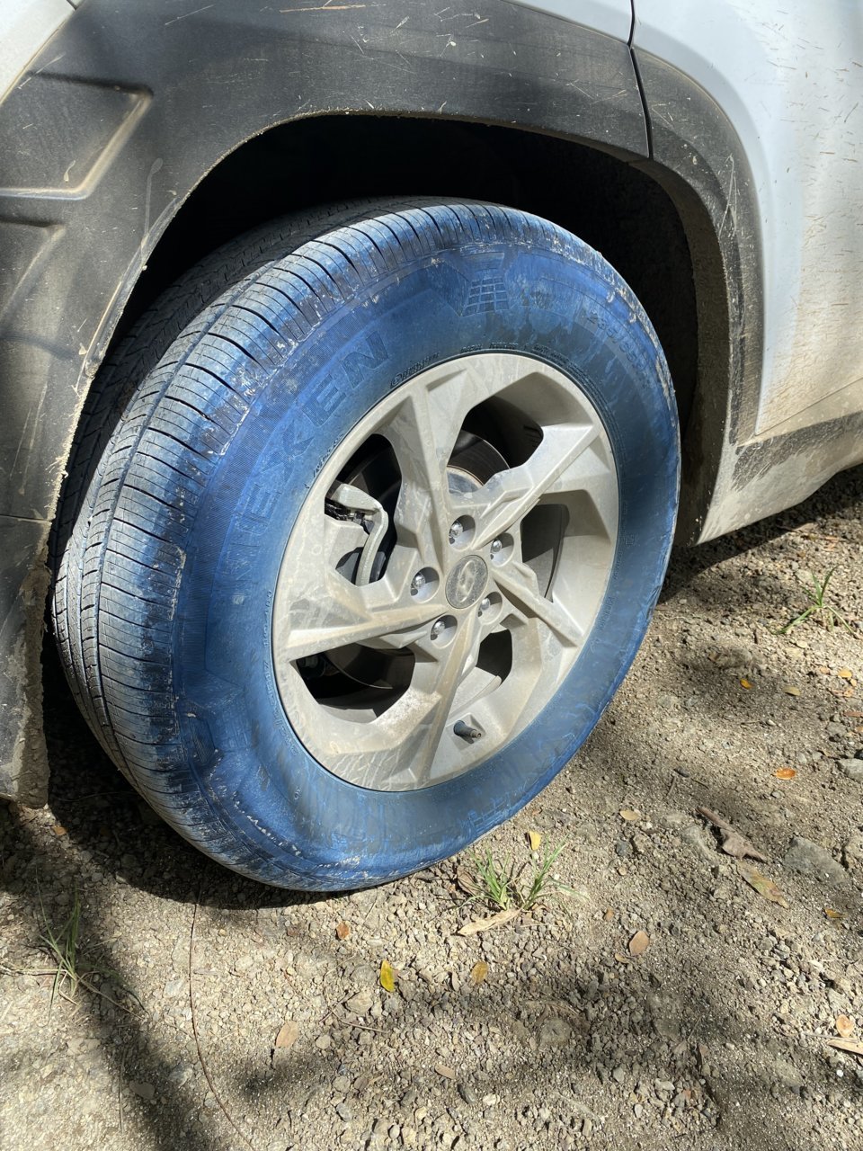 FAD069C0-37CD-4C4D-A359-A5A894D134A7.jpg