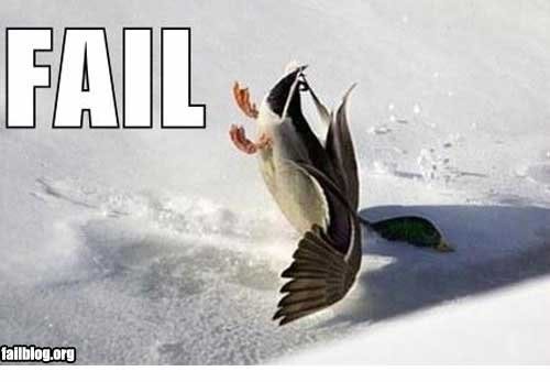 fail1_544ec8928ccf25b69bd2e884d48e9799f1db04e2.jpg