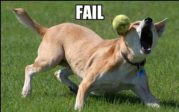 fail3.jpg