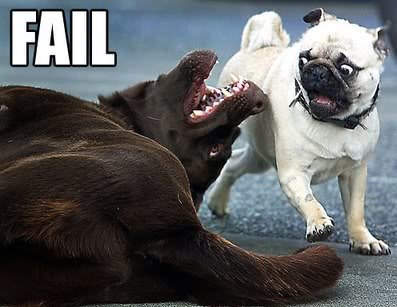FAIL_57d78482f0c489f285d9243d0407538ec0623603.jpg