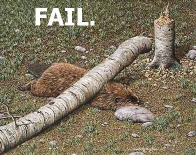fail_8ffc44460cc54f71a6aabb51c0a52f5e73f53dd3.jpg
