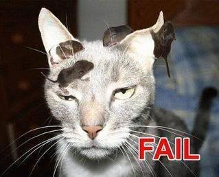 fail_cat2_ca84f1813b70030ef20a1ba4e916c0875214d6ca.jpg