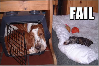 fail_e25fb2a68c70f86516de2e5a6f60c6e727aef4ca.jpg