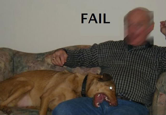 Faildog_7e1ccc26a89cff60d6ba7c184eacdee5624683a7.jpg