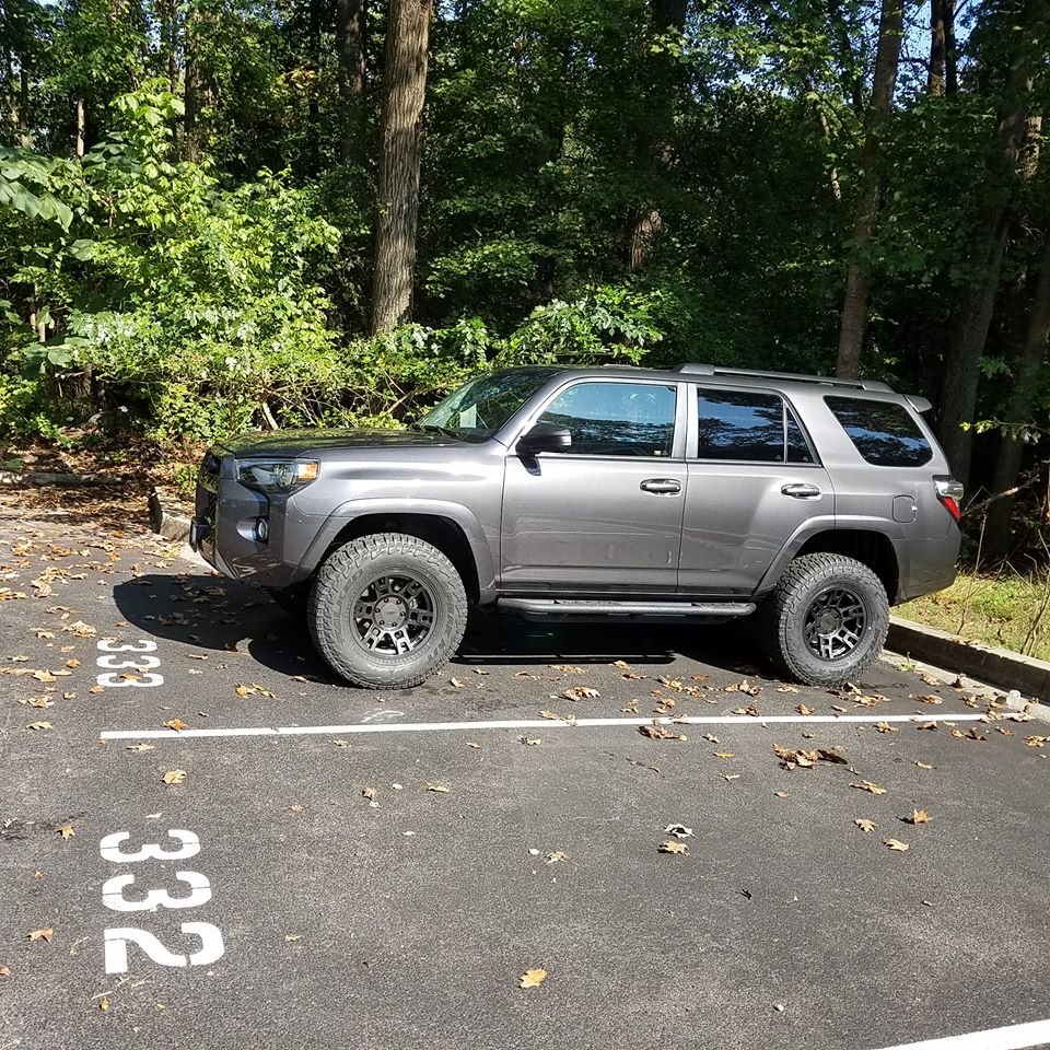 Falken 285.jpg