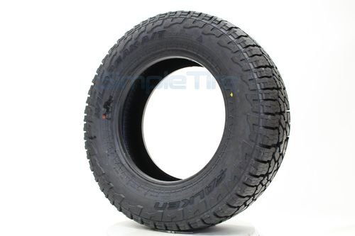 Falken.jpg