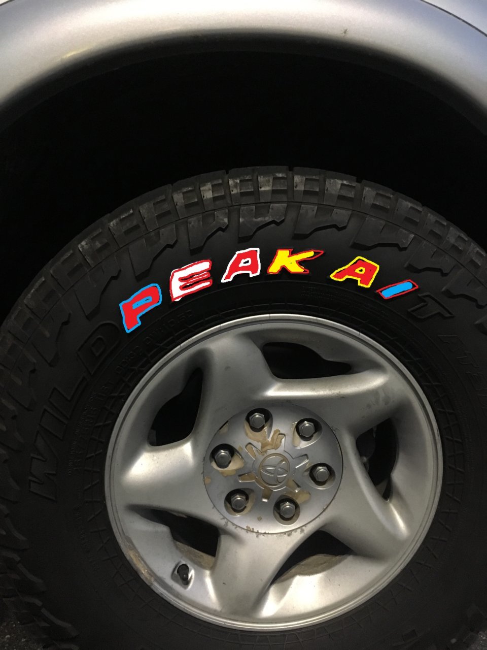 falken2.jpg