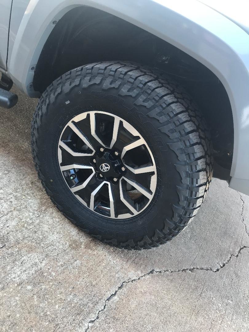 Falkens.jpg