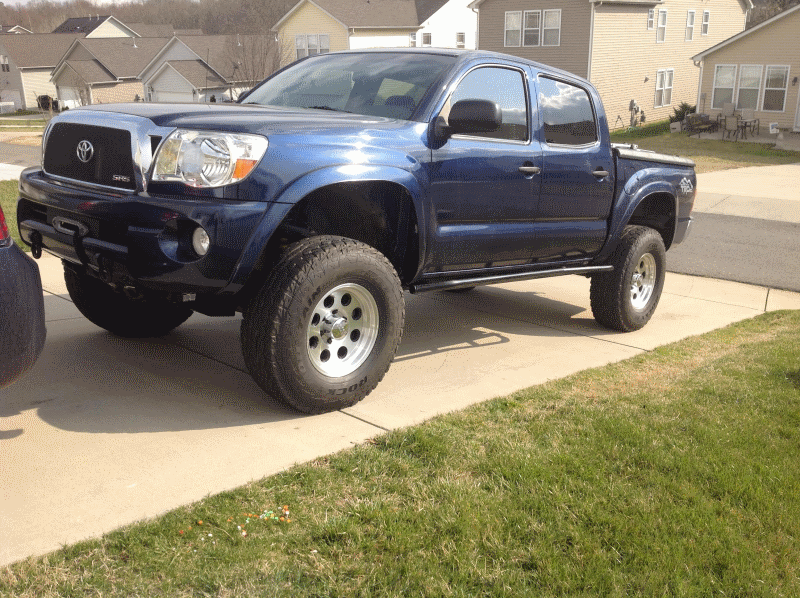 Falkens_zps1b1f99e2_bd8dbfc59e0ab2b26831e1b81ff127a6a2f365e6.gif