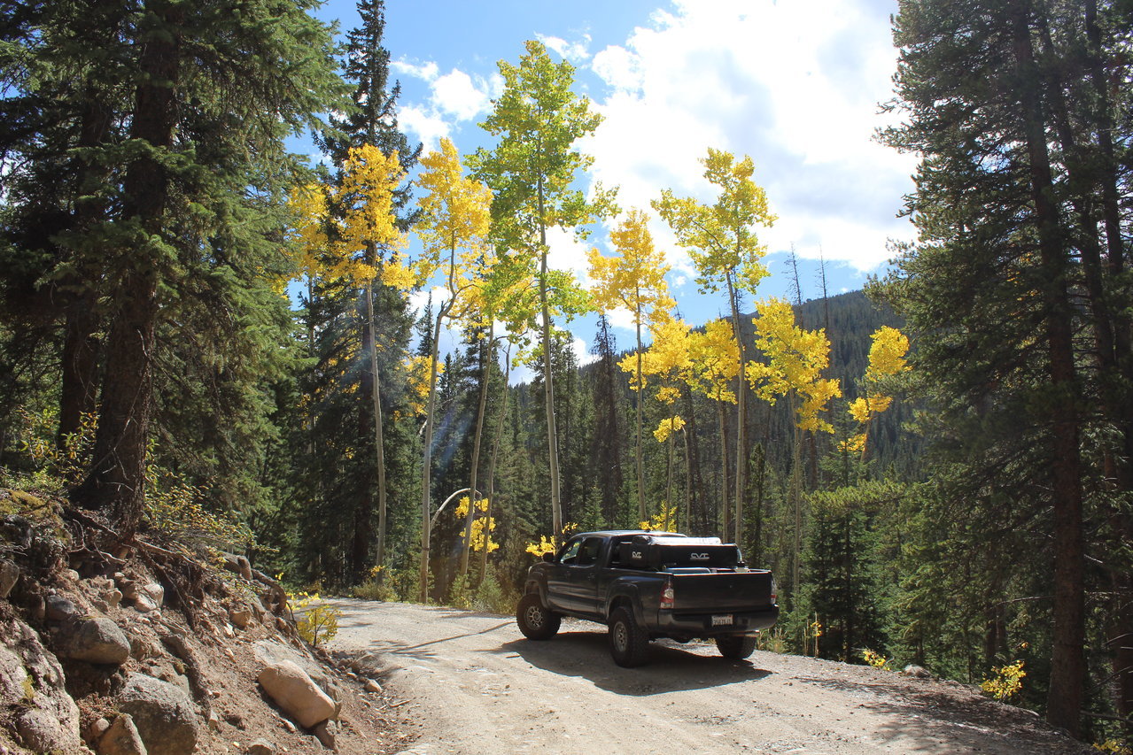 Fall Colors-1.jpg