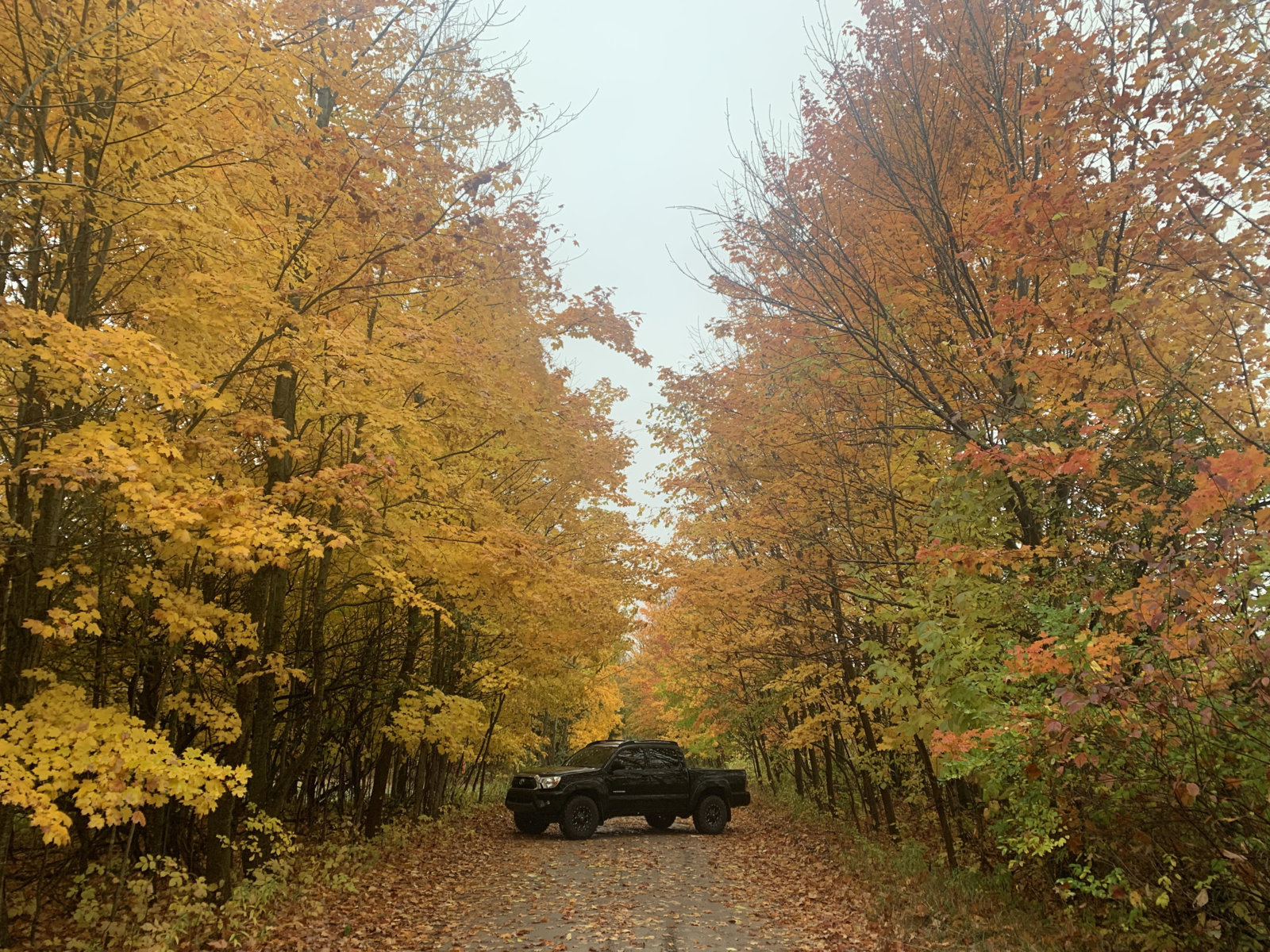 Fall Colors.jpg