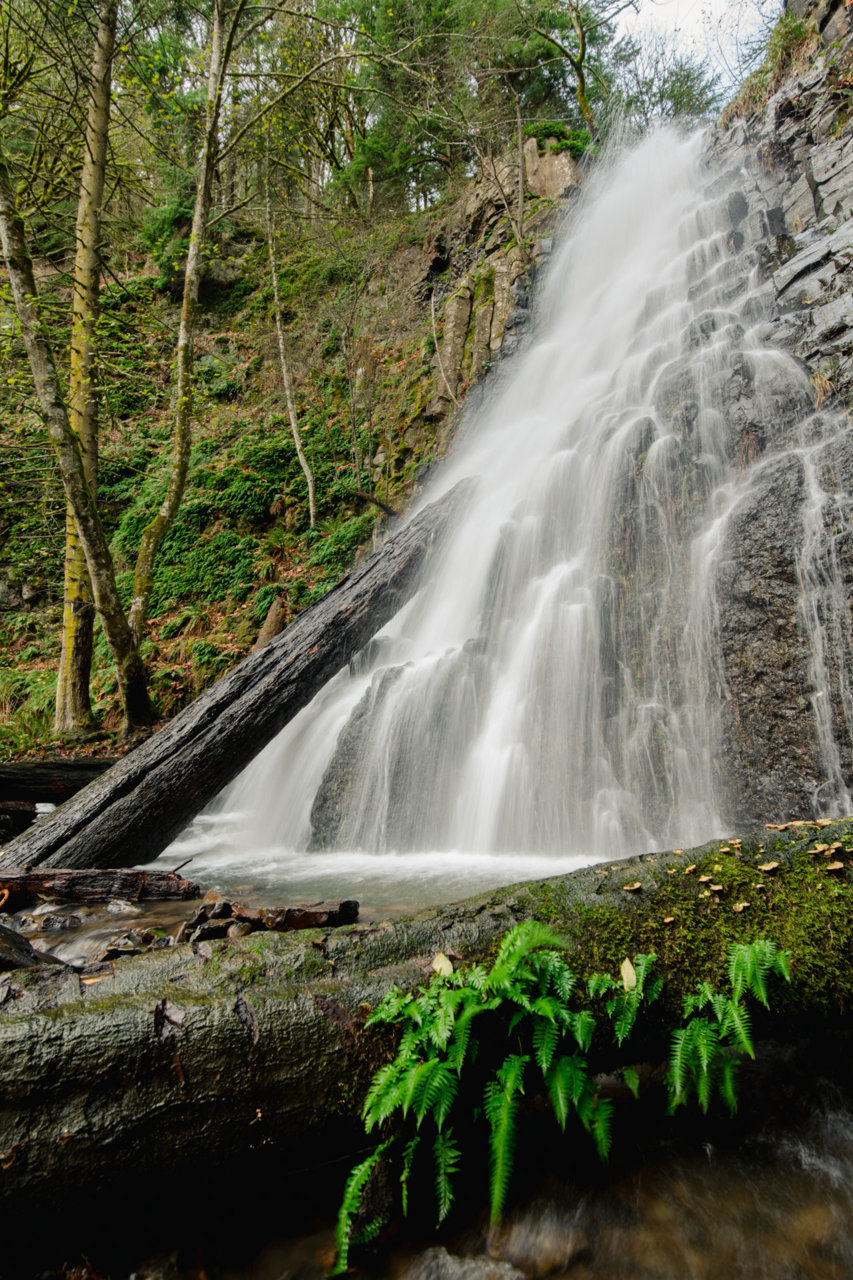 Fall Creek Falls-1.jpg
