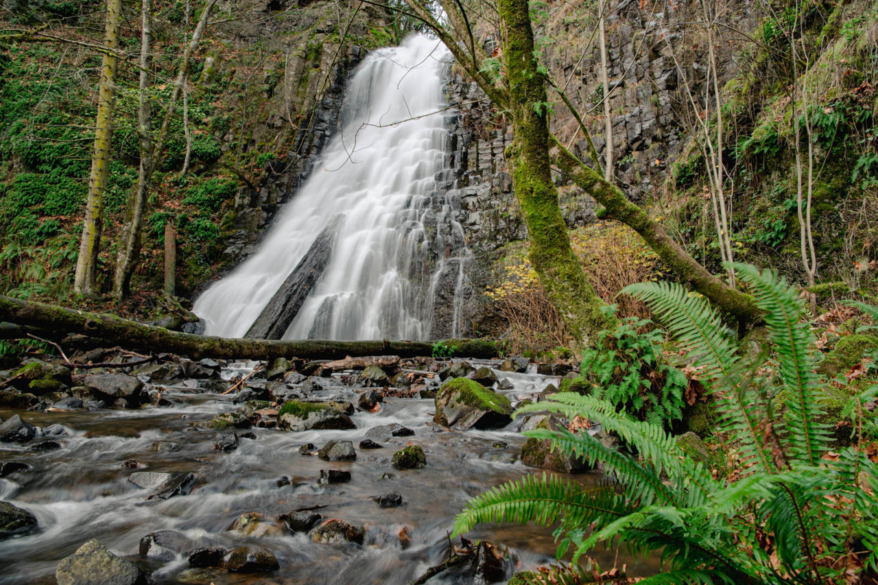 Fall Creek Falls-3.jpg