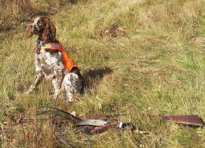 Fall Hunt 2016.jpg
