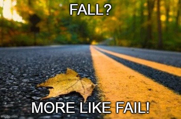 FALL.jpg
