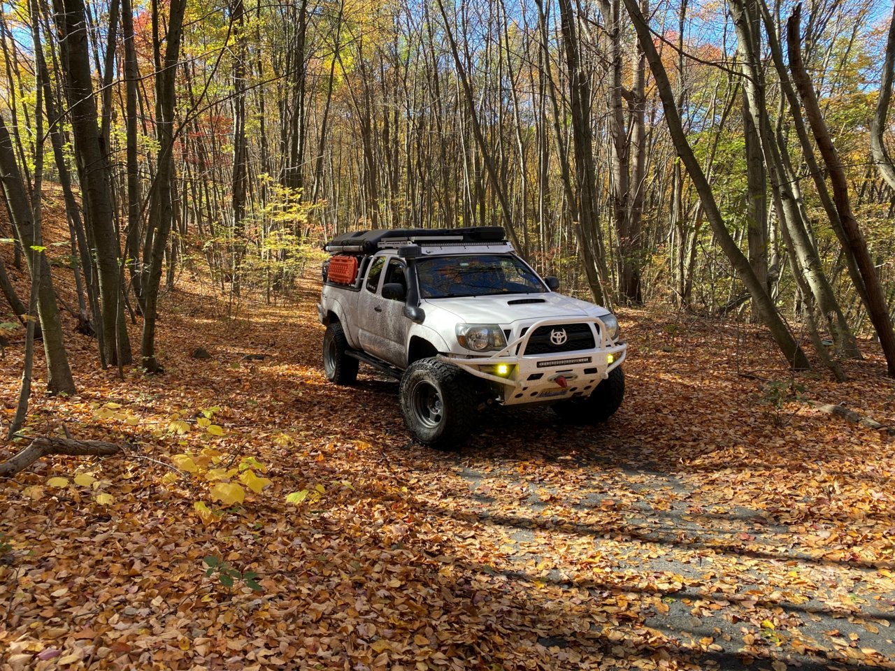 fall taco.jpg