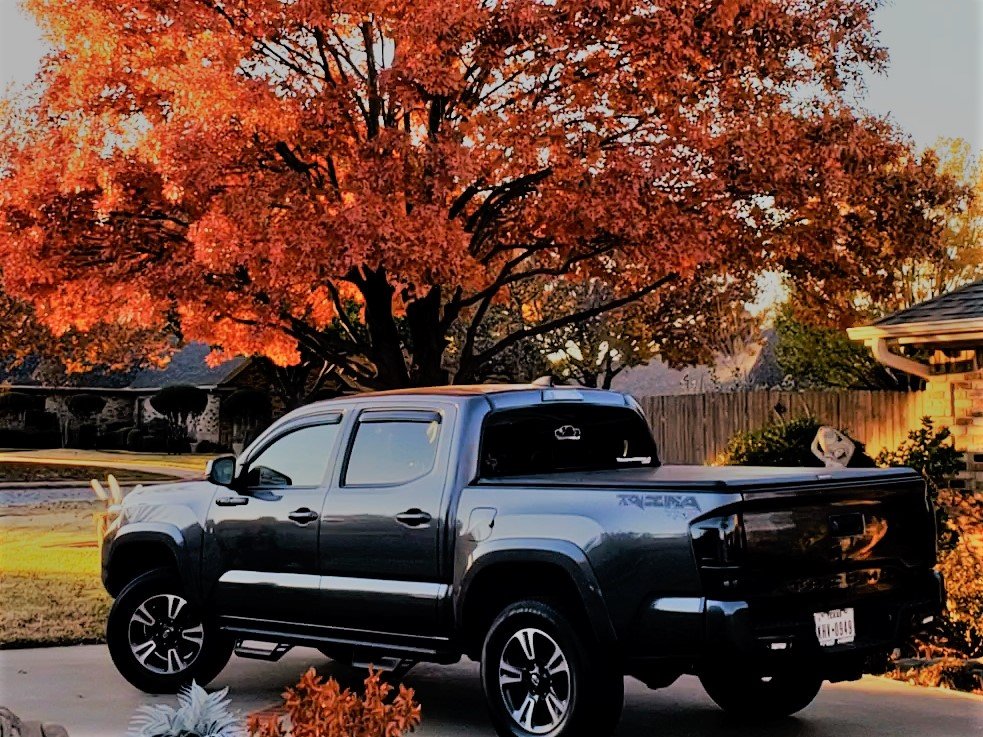 Fall Tacoma.jpg