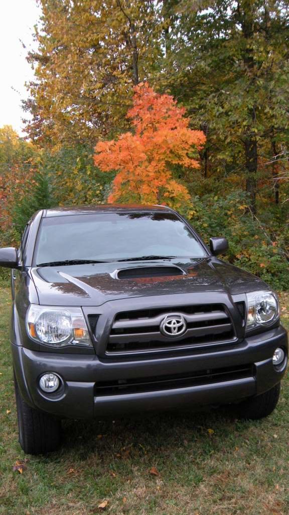 falltaco_21b23d4a3eabe2f0f59bdd5b59996b6020233141.jpg