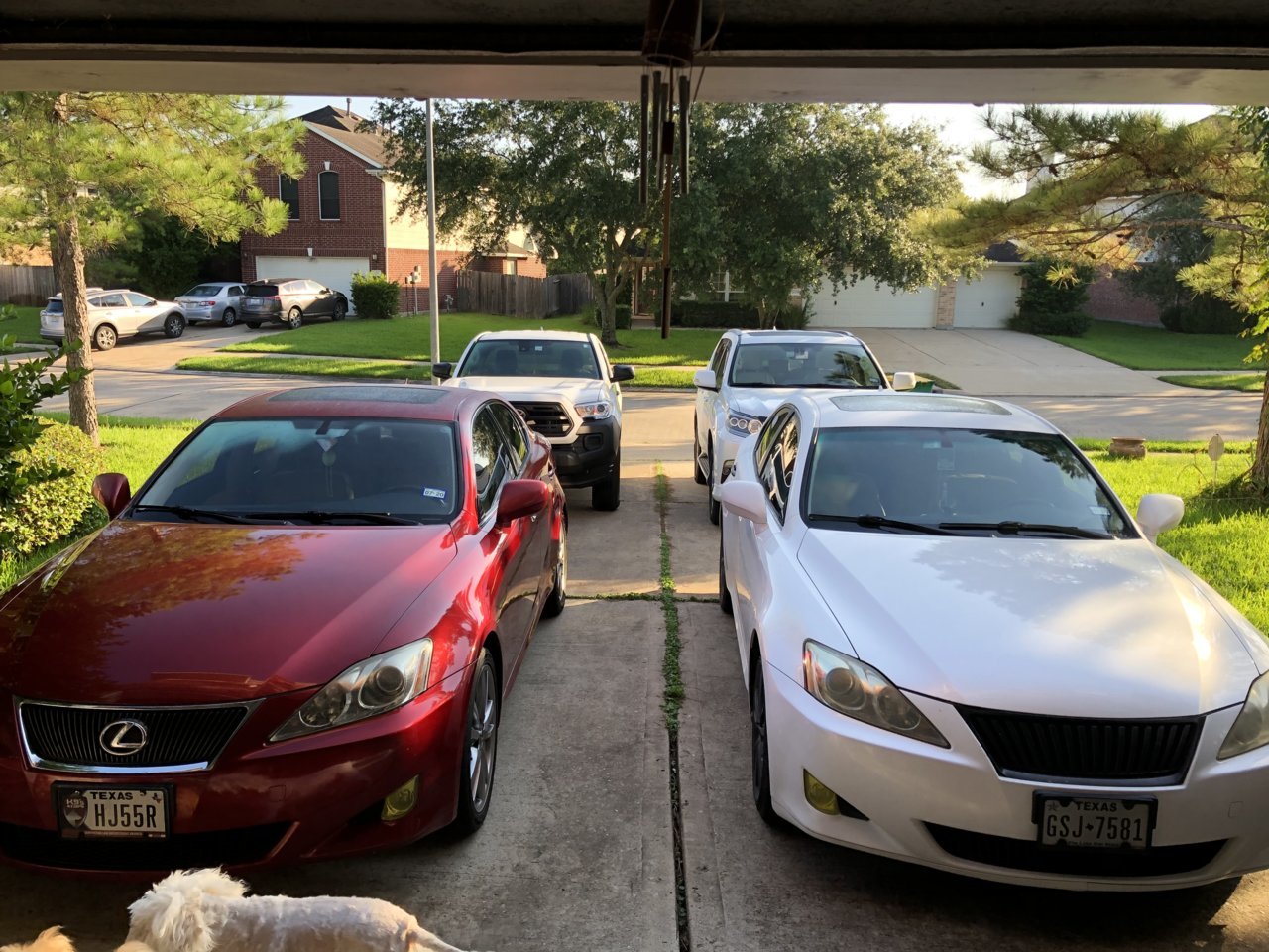 family cars.jpg