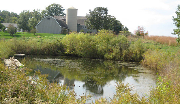 farm-pond_Richie-Diesterheft.jpg