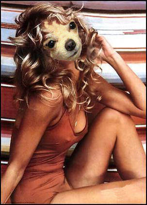 farrah-fawcet.jpg