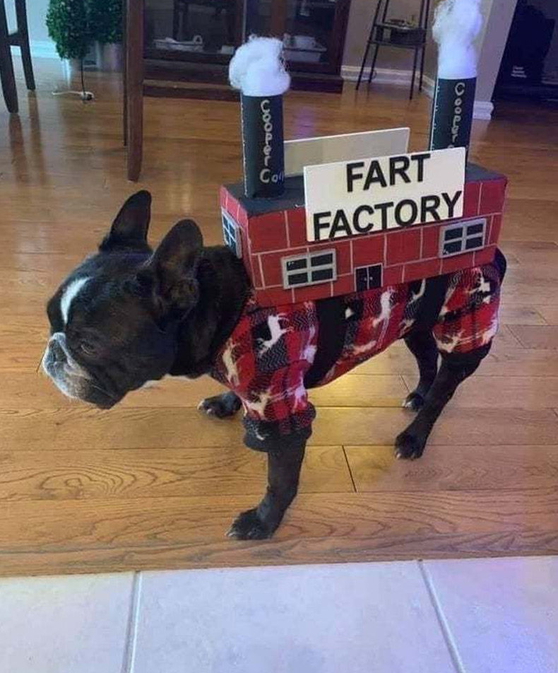 fart-factory.jpg