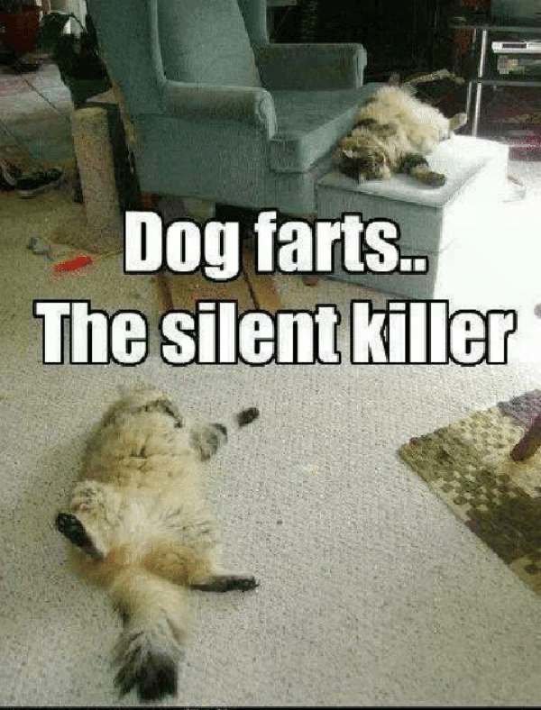 fart3.jpg