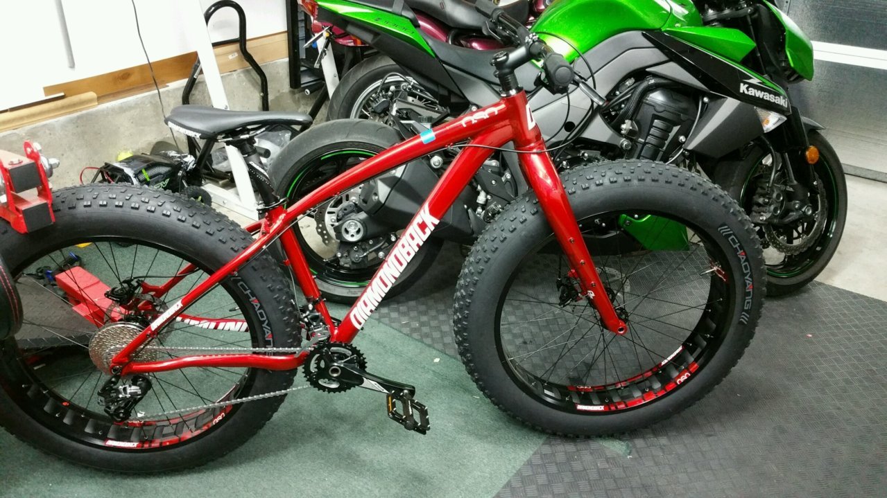 FAT BIKE.jpg