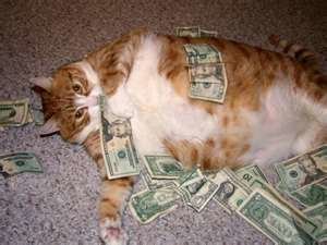 Fat Cat.jpg