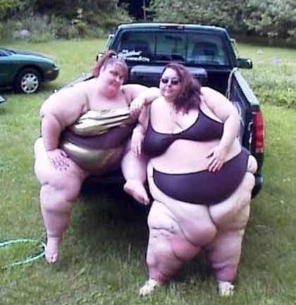 Fat-Chicks-726694_07bf0071e00f0fc7b4a266716547d919c8bb21ca.jpg