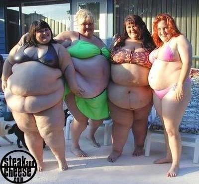FAT_c3aaf4b02c413978f13fd8db3e3daf42ef125a55.jpg